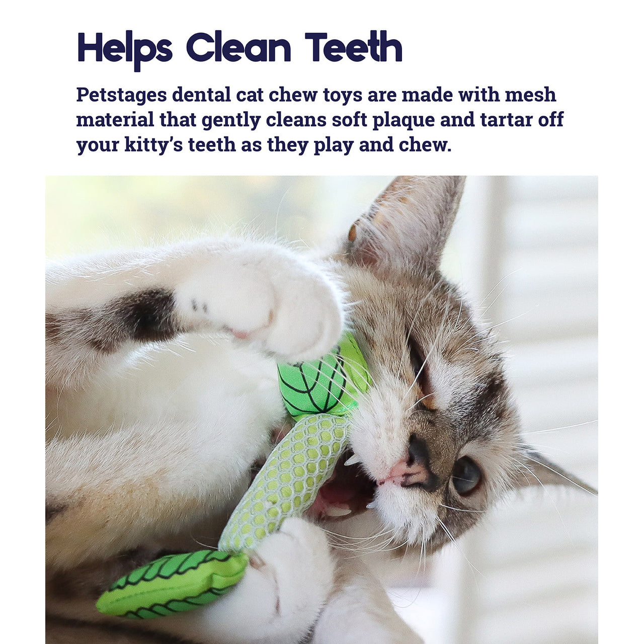 Petstages® Fresh Breath Mint Stick