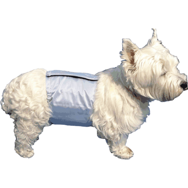 PoochPants Premium Male Dog Wrap Critter Country Supply Ltd