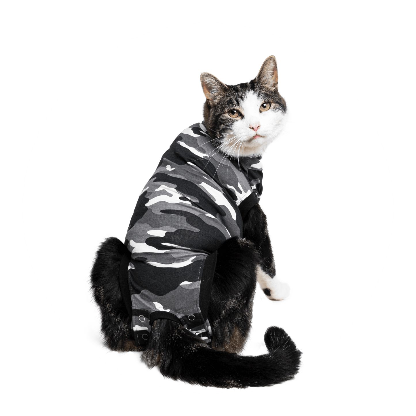 Suitical Recovery Suit® for Cats