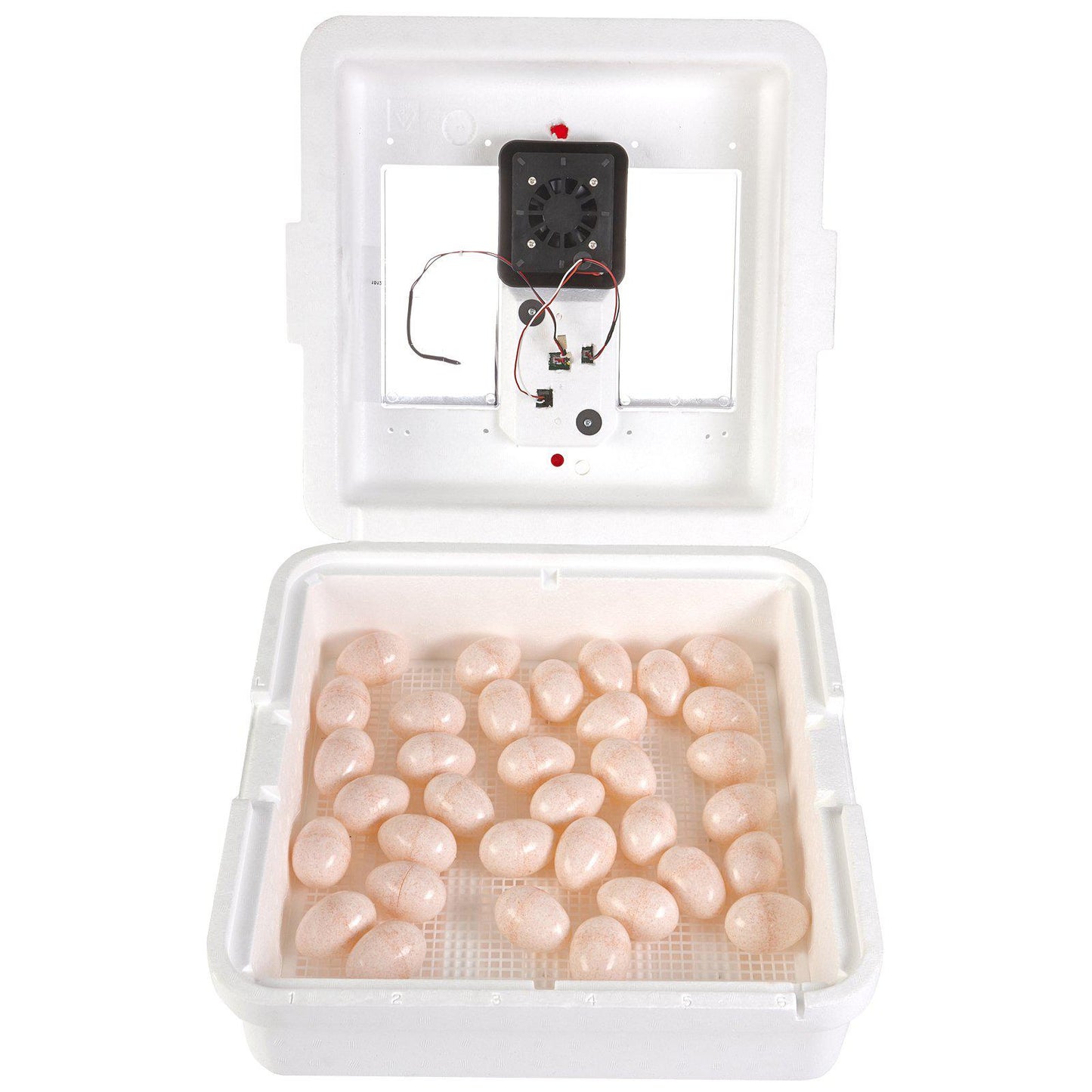 Little Giant® 12300 Circulated Air Incubator - Critter Country Supply Ltd.