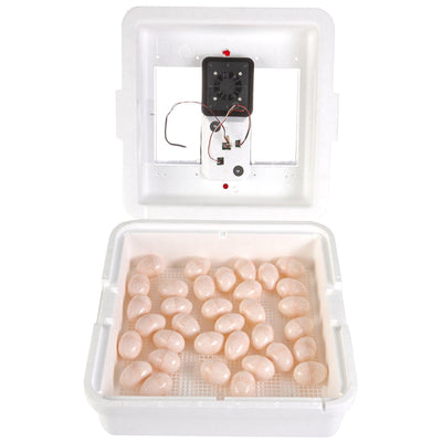 Little Giant® 12300 Circulated Air Incubator - Critter Country Supply Ltd.