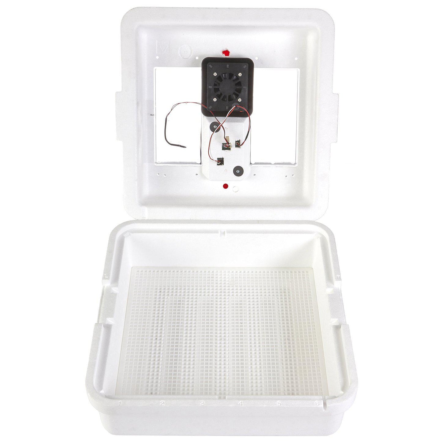 Little Giant® 12300 Circulated Air Incubator - Critter Country Supply Ltd.