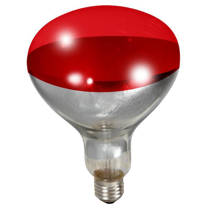 Little Giant® 250 Watt Red Bulb For Brooder Lamp - Critter Country Supply Ltd.