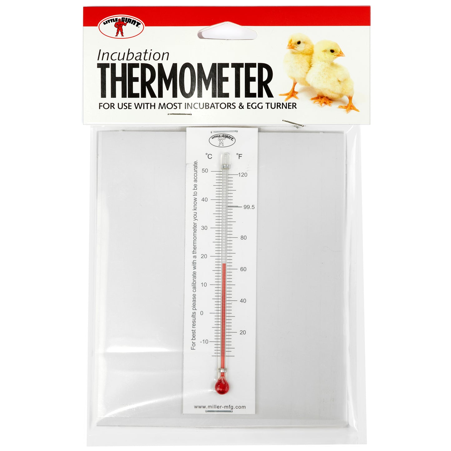 Little Giant® Incubation Thermometer
