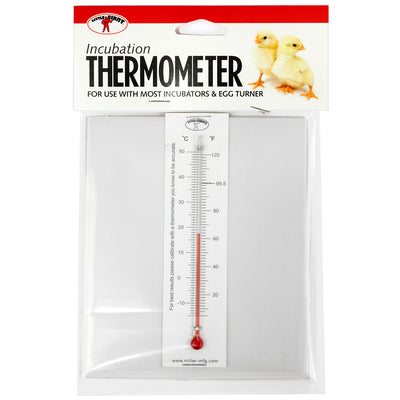 Little Giant® Incubation Thermometer