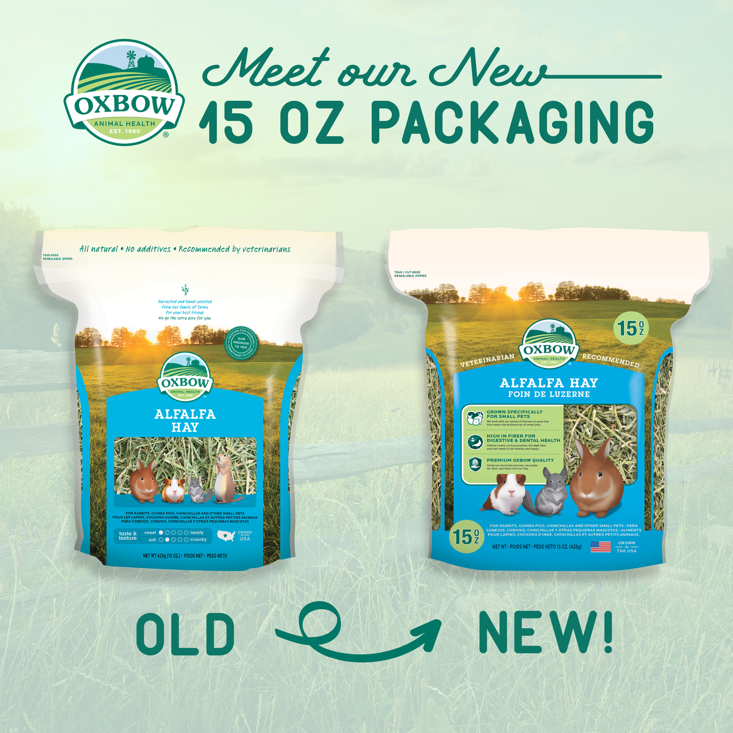 Oxbow® Alfalfa Hay