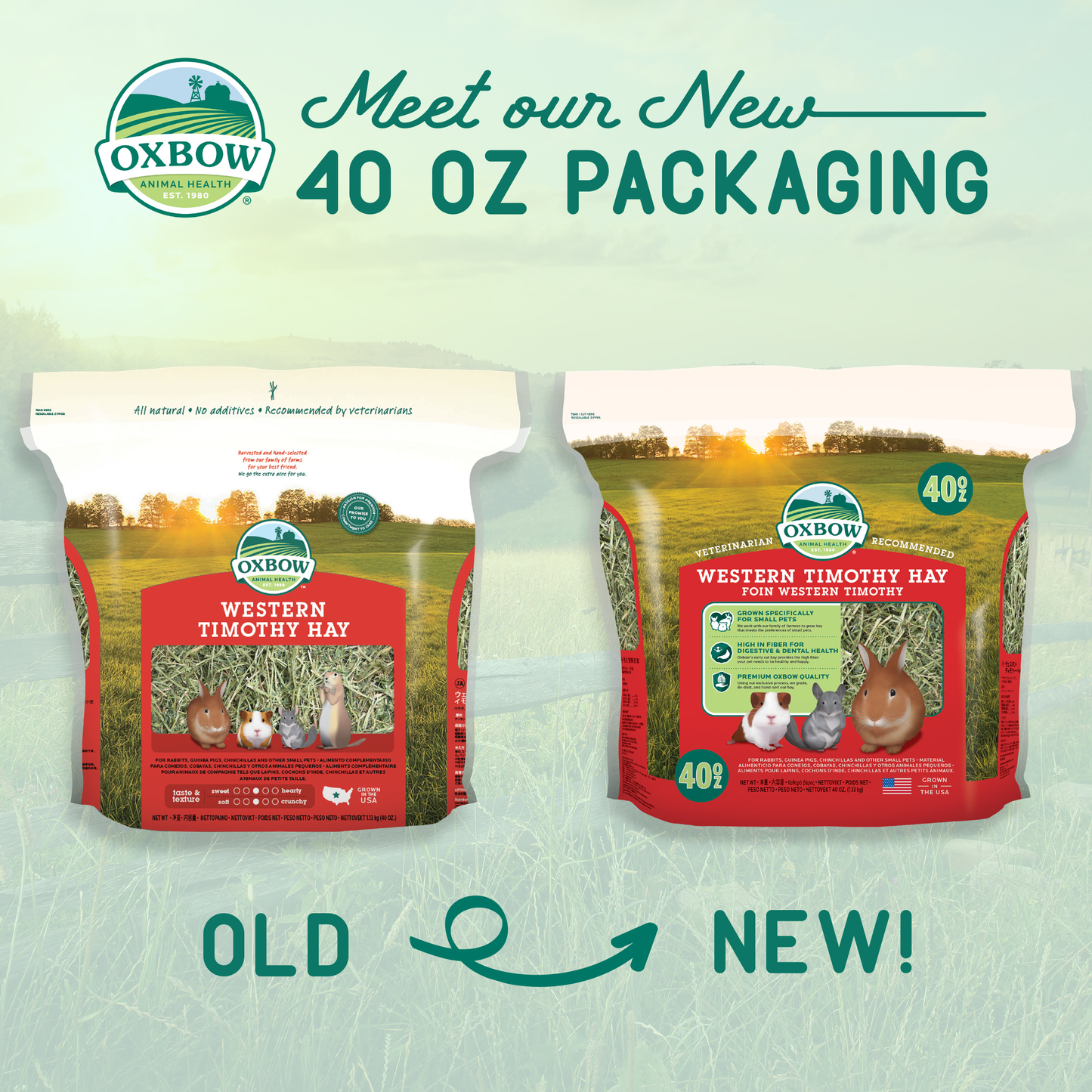 Oxbow® Western Timothy Hay