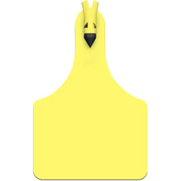 Allflex® ATag™ Cow One-Piece Ear Tag 25PK - Critter Country Supply Ltd.