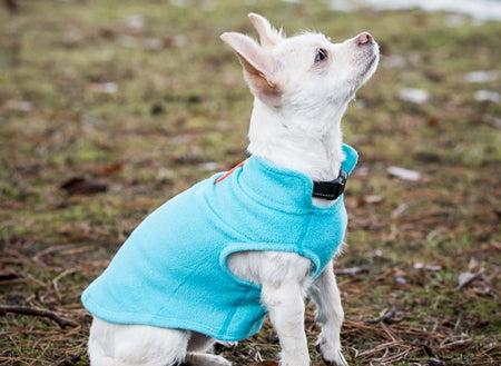 RC Pets Baseline Fleece Pullover - Critter Country Supply Ltd.