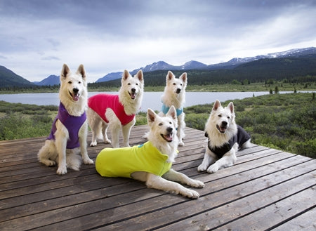 RC Pets Baseline Fleece Pullover - Critter Country Supply Ltd.