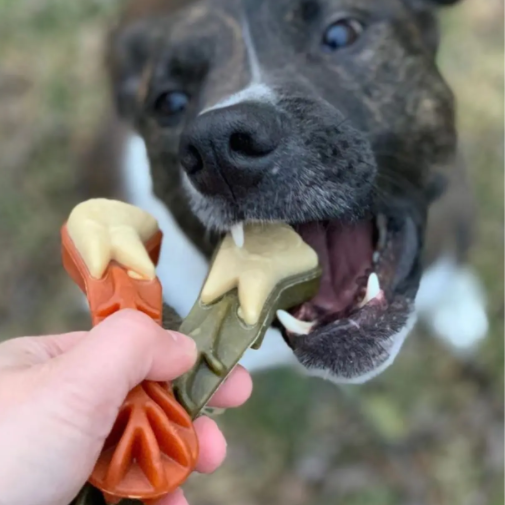 Whimzees® Brushzees® Dental Dog Chew
