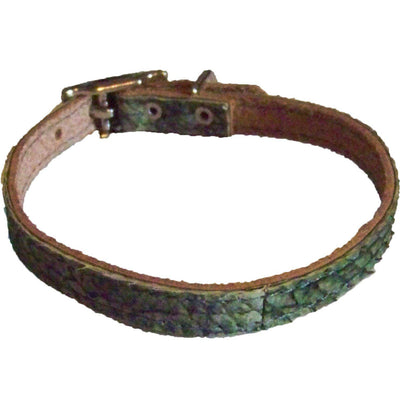 True Walleye Fish Leather Cat Collar - Critter Country Supply Ltd.