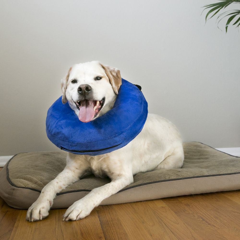 KONG® Cloud™ Collar