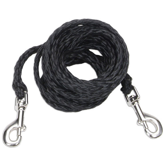 Coastal® Poly Big Dog Tie Out