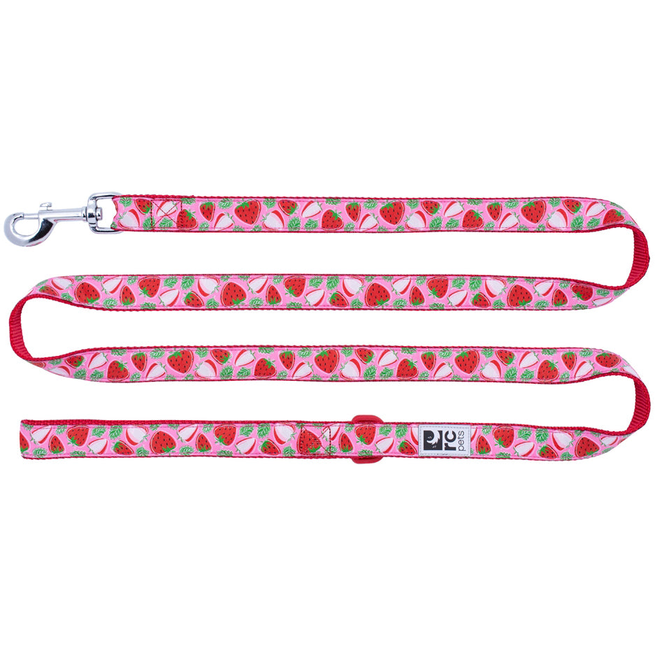 RC Pets Dog Leash