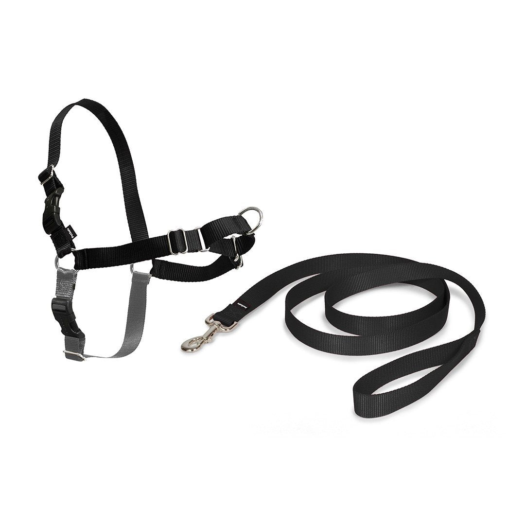 PetSafe® Easy Walk® Harness – Critter Country Supply