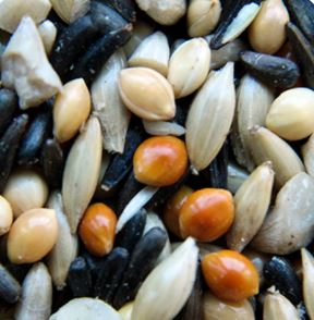 Pick of the Birds® Finch Mix 4KG