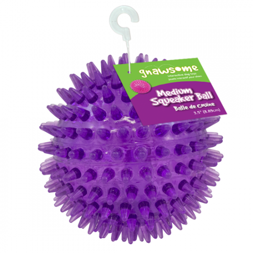 Gnawsome™ Squeaker Ball - Critter Country Supply Ltd.