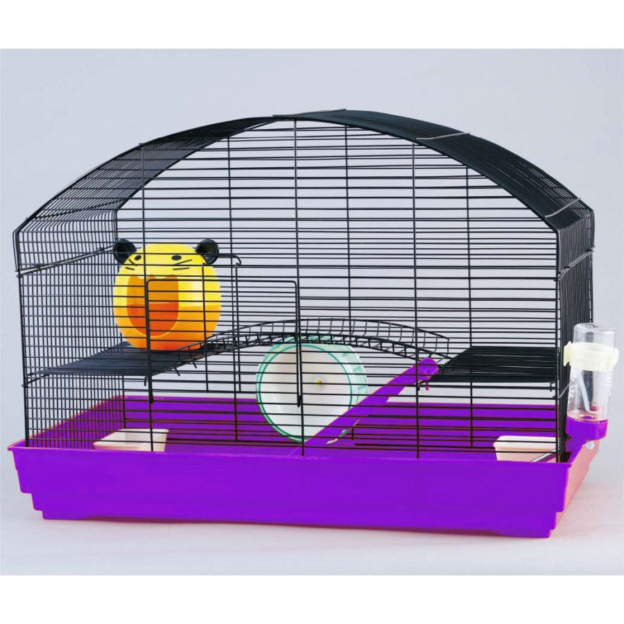 Critter Bunch Hamster Starter Kit
