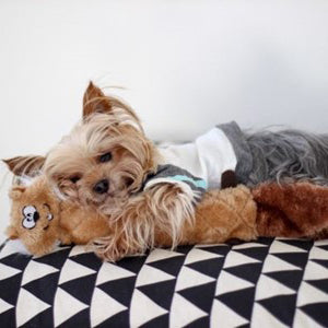 Zippy Paws® Jigglerz® Dog Toy