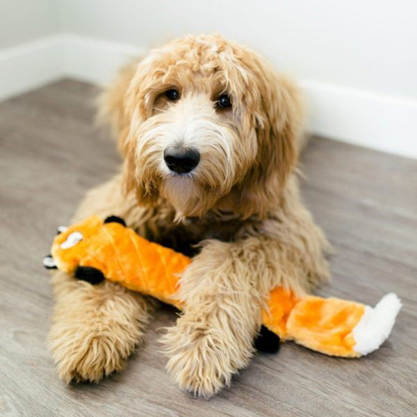 Zippy Paws® Jigglerz® Dog Toy