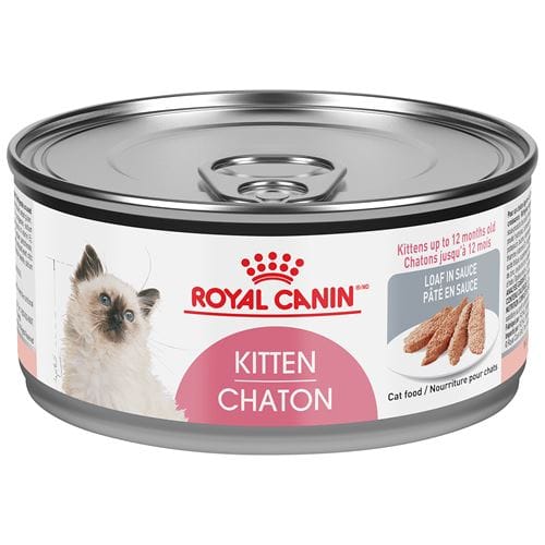 ROYAL CANIN® Kitten Loaf in Sauce