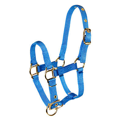 Hamilton® Miniature Horse Halter - Critter Country Supply Ltd.