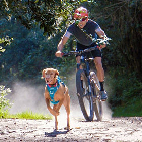 RC Pets Momentum Control Harness
