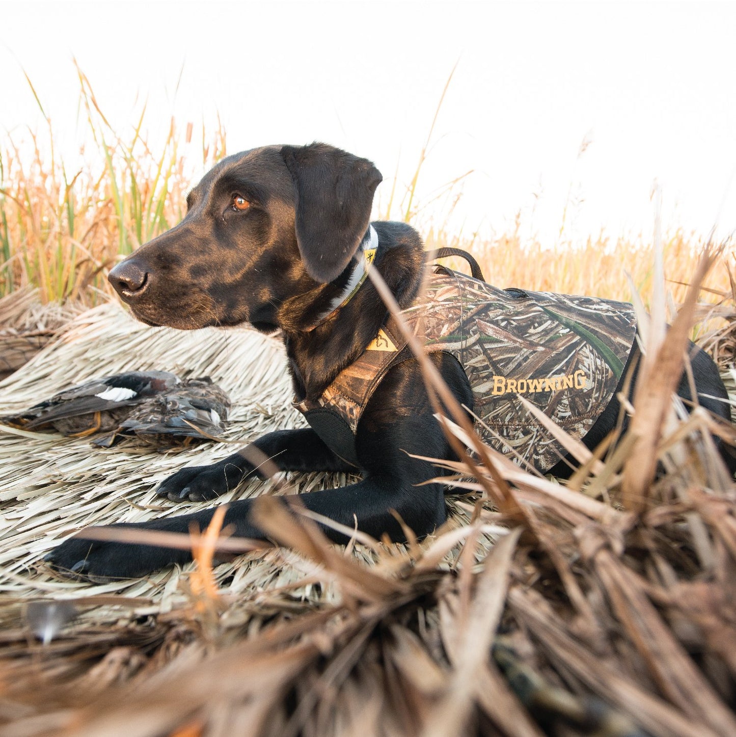 BROWNING® Neoprene Chest Protection Vest with Top Grab Handle - Critter Country Supply Ltd.