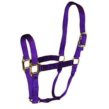 Hamilton® 1" Quality Halter (No Snap at Throat) - Critter Country Supply Ltd.