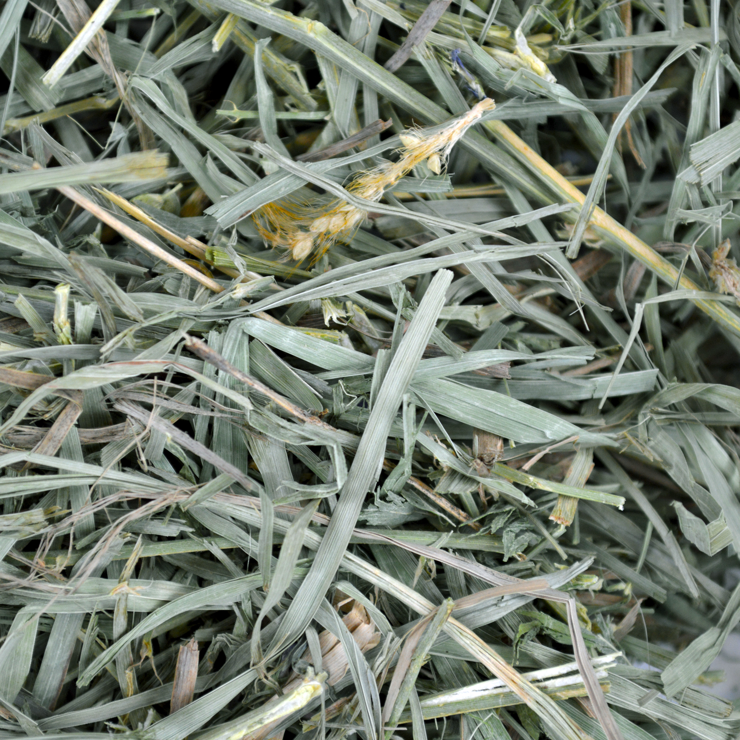 Oxbow® Organic Meadow Hay