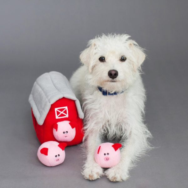 Zippy Paws® Burrow Interactive Dog Toy