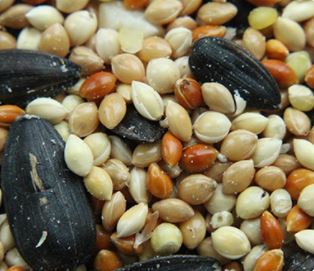 Pick of the Birds® Premium Wild Birdseed