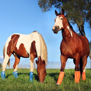 Shoofly Leggins™ Horse Fly Protection 4PK