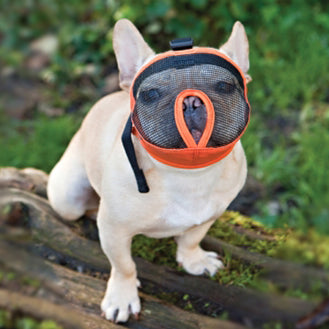 Canine Friendly Short Snout Muzzle