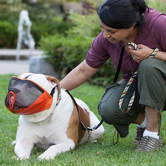 Canine Friendly Short Snout Muzzle