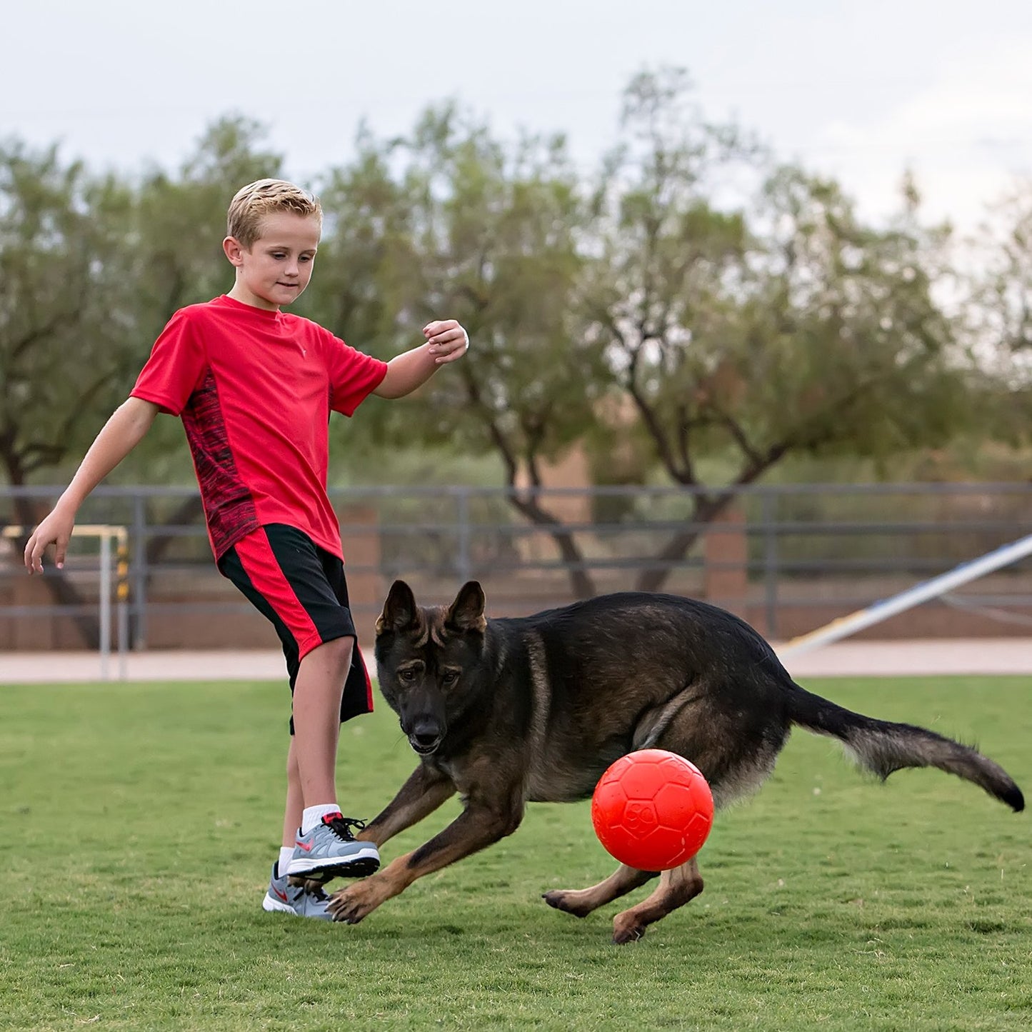 Jolly Pets® Jolly Soccer Ball™