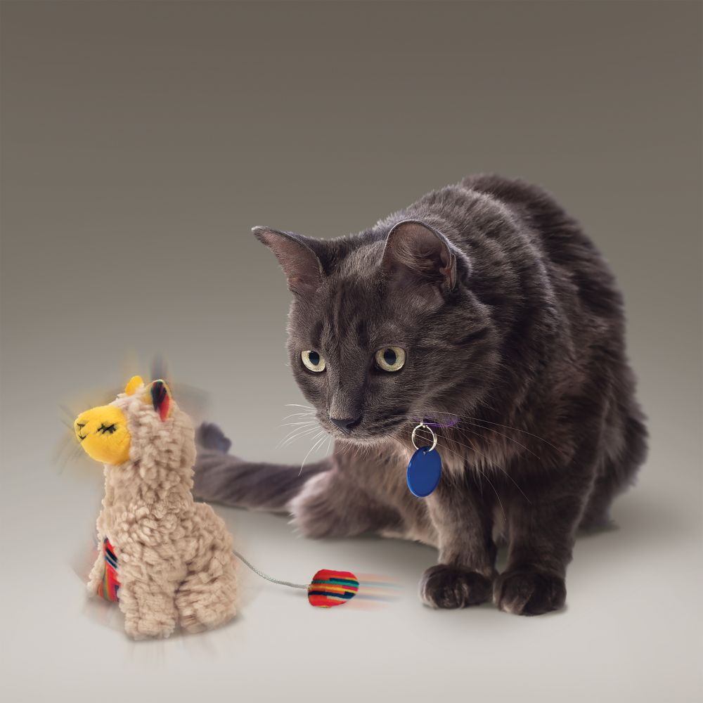 KONG® Softies Buzzy Llama