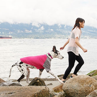 RC Pets Solis UV Coverup