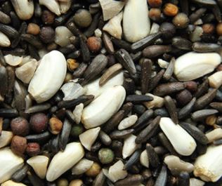 Pick of the Birds® Songbird Seed 4KG