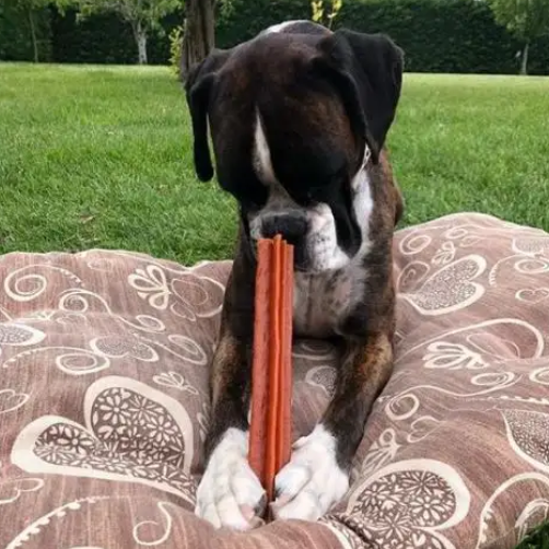 Whimzees™ Stix Dental Dog Chew