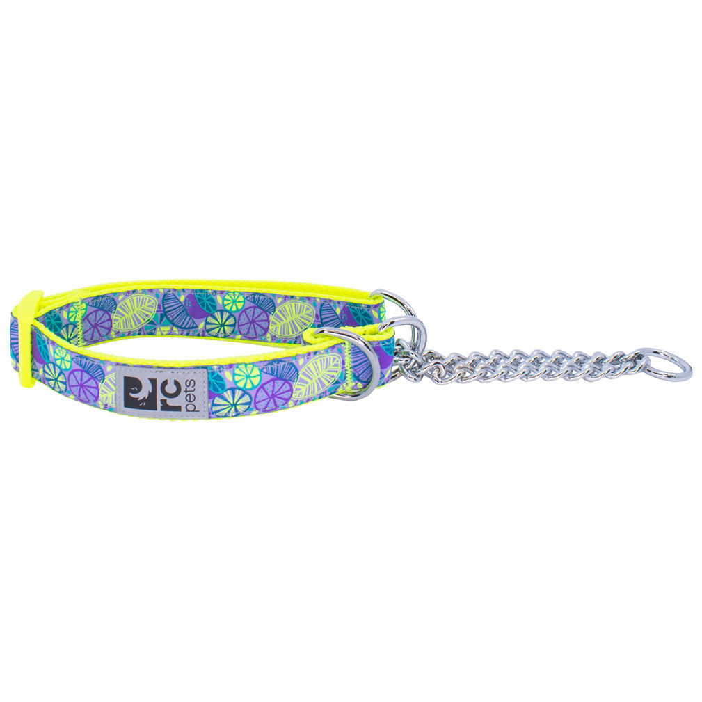 RC Pets Training Collar