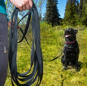 RC Pets Training Leash