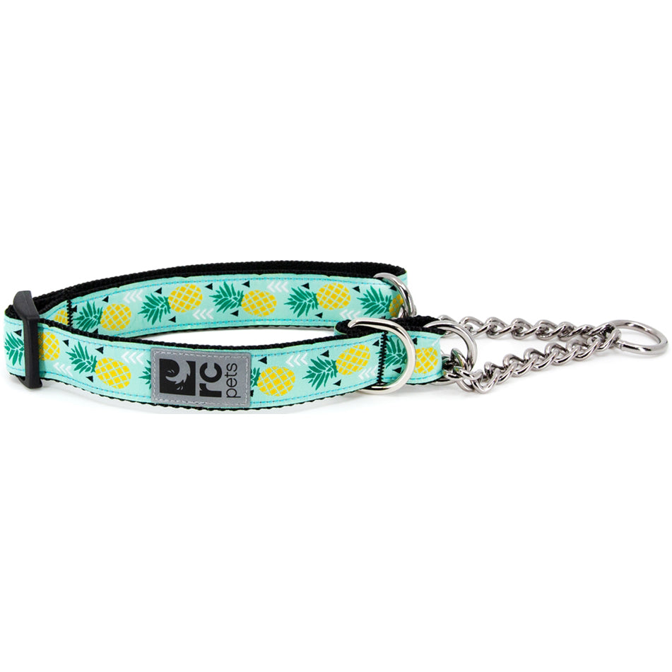 RC Pets Training Collar - Critter Country Supply Ltd.