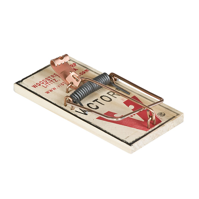 Mouse and the traps deals