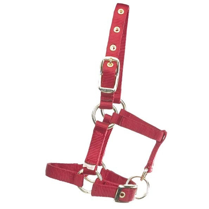 Western Rawhide Miniature Horse Halter - Critter Country Supply Ltd.