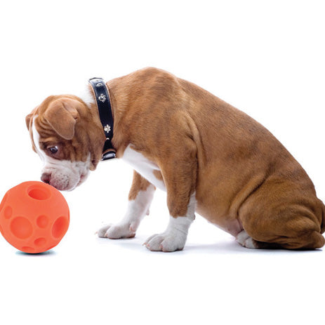 Omega Paw® Tricky Treat Ball™
