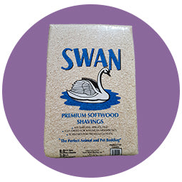 Swan Shavings