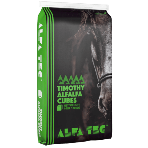 Alfa Tec® Timothy Cubes