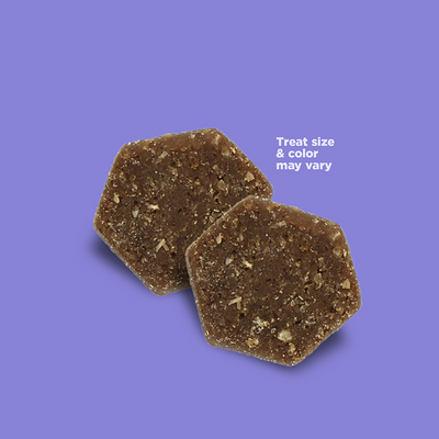 NutriSource® GRAIN FREE Bites Dog Treats